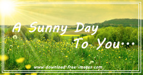 A sunny day to You! Everyday greeting card. New day. Yellow Flowers. Yellow sky. Bright sun. Green grass. Free Download 2024 greeting card