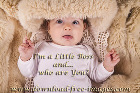 Congratulations to the parents on the birth of their new baby! I'm a Little Boss and... who are You? A Boy. A little kid. A little baby. Free Download 2024 greeting card