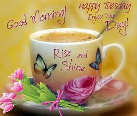 Good Morning! Happy Tuesday! Enjoy Your day! Rise & Shine! A cup of coffee with milk. Pink Flowers. A sunny day. Colorful butterflies on the cup. Free Download 2024 greeting card