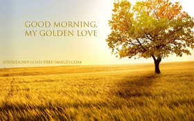 Good Morning, my golden love! Golden autumn in your life. Nice. Nature. Free Download 2024 greeting card