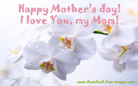 Happy Mother's day! I love You, my Mom! Warm wishes. Nice ecard. Free Download 2024 greeting card