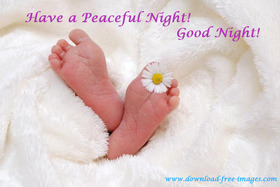 Have a Peaceful Night! Little baby feet :) A little chamomile. Free Download 2024 greeting card