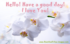 Hello! Have a good day! I love You! White flowers for You. Warm wishes. Nice ecard. Free Download 2024 greeting card
