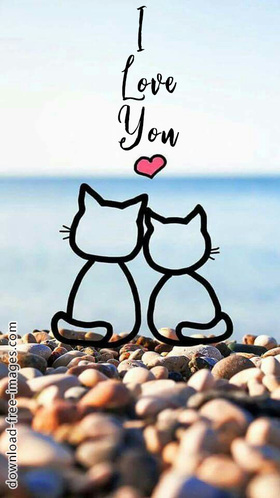 I Love You! Incredibly beautiful fairy ecards. 2018. Cats. Super ecards 2018. Extraordinary ecards. Cartoon Pictures. Free Download 2024 greeting card