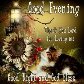 Thank You, Lord, for loving me. Good Evening, Good Night and God Bless. Cute Cat. Sunflower. Street lamp. Free Download 2024 greeting card
