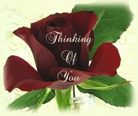 Thinking Of You... This rose is for my love. Nice rosebud. Dark red rose. Free Download 2024 greeting card