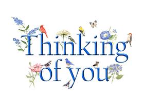 Thinking of You! Color ClipArt. JPEG. Flowers. Butterfly. Birds. Blue text. Free Download 2024 greeting card