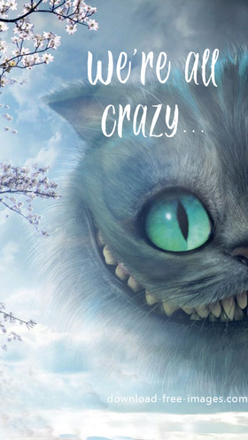 We're all crazy. New ecards 2018 for free. Incredibly beautiful fairy ecards. A Cheshire cat. Super ecards 2018. Extraordinary ecards. Cartoon Pictures. Free Download 2024 greeting card