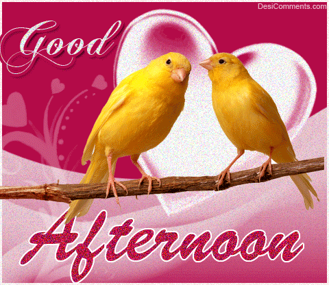 Good Afternoon! Love Birds. Yellow Birds. GIF. A big heart. Pink background. Purple background. Free Download 2024 greeting card