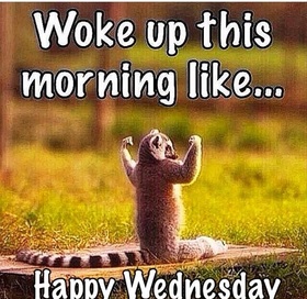 Good morning Wednesday for friends. New ecard. Woke up this morning like...Friends, it's a new day, a time for new adventures. Good morning. Good Wednesday and week. Free Download 2024 greeting card