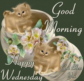 Happy Wednesday, dad! God bless you. New ecard. Cards with kittens for relatives. Dear father, good morning. The morning of Wednesday is already the middle of the week, And getting up every day is harder. Free Download 2024 greeting card