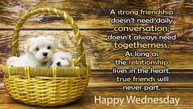 Happy Wednesday for best friend. It's for you! As long as the relationship lives in the heart, true friends will never part. Happy Wednesday, buddy. Good week. Free Download 2024 greeting card