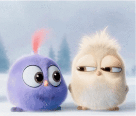 Cute Birds. Angry Birds GIF. Little birds :) Soft fur, hazel eyes, and bloody adorable. Violet & White. Free Download 2022 greeting card