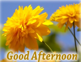 Good Afternoon. A sunny day. Yellow flowers. Good Afternoon... Beautiful Flower Free Download 2025 greeting card