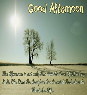 Card with wishes of Good Afternoon to friend. Download image. Good Afternoon, dear friend! Card with beautiful nature view and wise quotation. The afternoon is the time to finish our essential task. Free Download 2024 greeting card