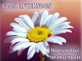 Good Afternoon! Ecard for grandmother. Good Afternoon... Hope you Have an amazing day... Free Download 2024 greeting card