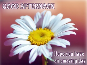 Good Afternoon! Ecard for grandmother. Good Afternoon... Hope you Have an amazing day... Free Download 2025 greeting card