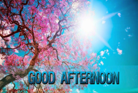 Good Afternoon! Cherry blossoms. Pink colour. Good Afternoon... Dear Friends... Have a great day... Spring...The Sun... Cherry blossoms last only for a few days, a week at the most. Free Download 2024 greeting card