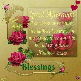 Good Afternoon! Blessings! Beautiful roses. Flowers. Matthey Bible verse. Matthey 8 : 20. A quotation from the New Testament. Free Download 2022 greeting card