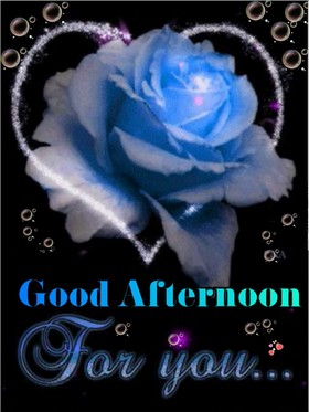 Good Afternoon! The most beautiful rose for You! Blue rose. Black background. A Big Heart. Free Download 2024 greeting card