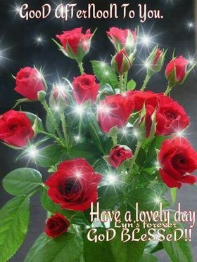 Good Afternoon to You! God blessed! Have a lovely day! Red roses. Free Download 2024 greeting card