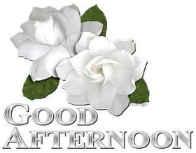Good Afternoon! Nice flowers for You! White flowers for girl! Free Download 2024 greeting card