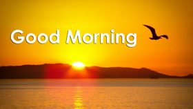 Good Morning. See the lovely Sunrise. New ecard. Good Morning. Birds. The sea. Sunrise. Free Download 2022 greeting card