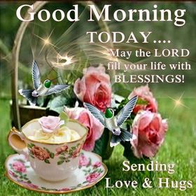 Good Morning with love and hugs. New ecard. Good Morning. Birds. A beautiful Cup. Pink Flowers. Roses. Wishes. Lord bless you. Free Download 2023 greeting card