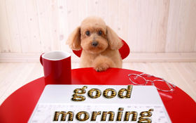 Good Morning from a cute doggy. New ecard for free Good morning. Doggy. Cup of tea. Red and white e-card Free Download 2022 greeting card