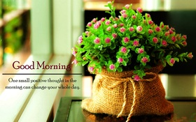 Beautiful flowers for the good morning. New ecard. Good Morning. Pink Flowers. Have a nice day. A tree. At home. Free Download 2023 greeting card
