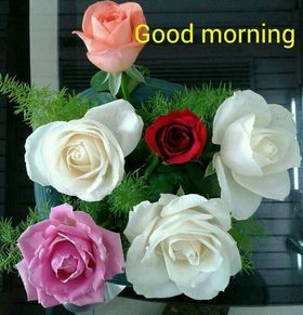 Good Morning for a woman. New ecard for free. Good Morning. Colorful Flowers. Pink, white, red, creamy Roses. Free Download 2024 greeting card