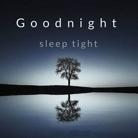 Good Night! Sleep tight! Free Download 2024 greeting card