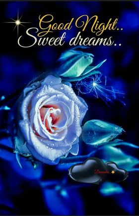 Good night! Sweet Dreams! Sleep Well! Blue rose. Dark blue background. Free Download 2024 greeting card