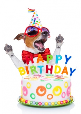 Happy Birthday with a doggy. New ecard for free. Happy Birthday. Happy Birthday Cake. Dog. Candles. Free Download 2024 greeting card