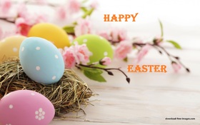 Nice Easter e-card. New ecard for free. Happy Easter e. Easter 2018. Easter Eggs with flowers. Free Download 2024 greeting card