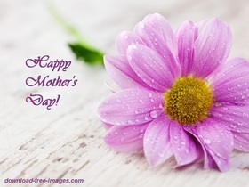 Pink flower to mother! New ecard for free. Happy Mother's Day. A big pink Flower. Free Download 2024 greeting card
