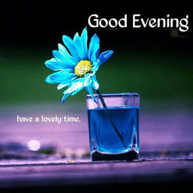 Have a lovely time! Good Evening! Blue flower. Free Download 2022 greeting card