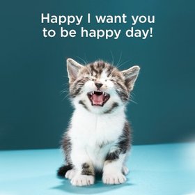 I Want You To Be Happy Day. Cute little cat. Free Download 2022 greeting card