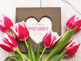 Nice tulips for Mother's Day. New ecard for free. Mother's Day. Pink-and-white Flowers. Tulips. Heart. With love to your mom. Free Download 2023 greeting card