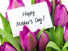 Beautiful tulips on Mother's Day. New ecard. Happy Mother's Day. Flowers. Pink Tulips. White background. Card. Free Download 2024 greeting card