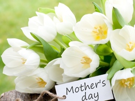 Mother's Day card. New ecard for free. Mother's Day. White Flowers. Card to your mum. Free Download 2024 greeting card