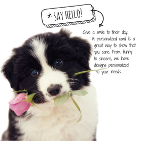Say Hello! Cute dog. Big dog. Rose for You. Free Download 2023 greeting card