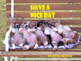 You have a nice day! Funny pups. Cute puppies. Free Download 2022 greeting card