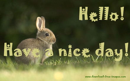 hello-have-a-nice-day-green-greeting-card-615005.jpg