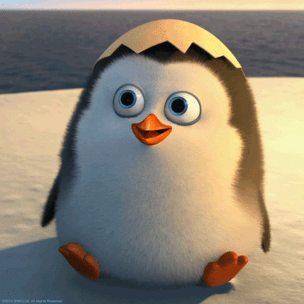 Penguin. Hello Gif. The best greeting card for You.
