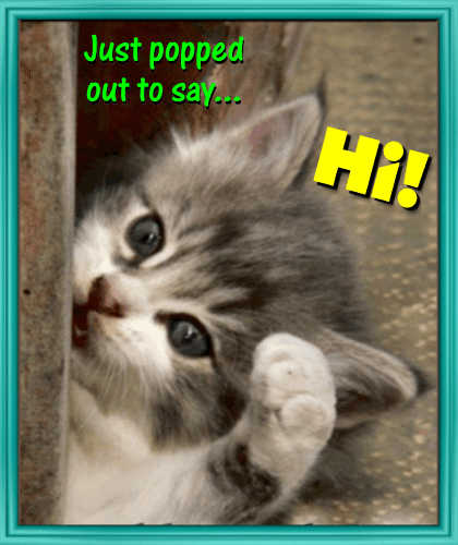 A Cute Kitty Says Hi to You... Free GIF eCards. Just popped out to say... Hi! The tiger-striped cat. Free Download 2023 greeting card
