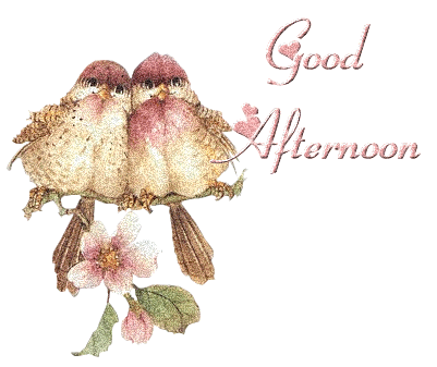 Birds Wishing Lovely Good Afternoon! Animation. Gif. Free Download 2024 greeting card