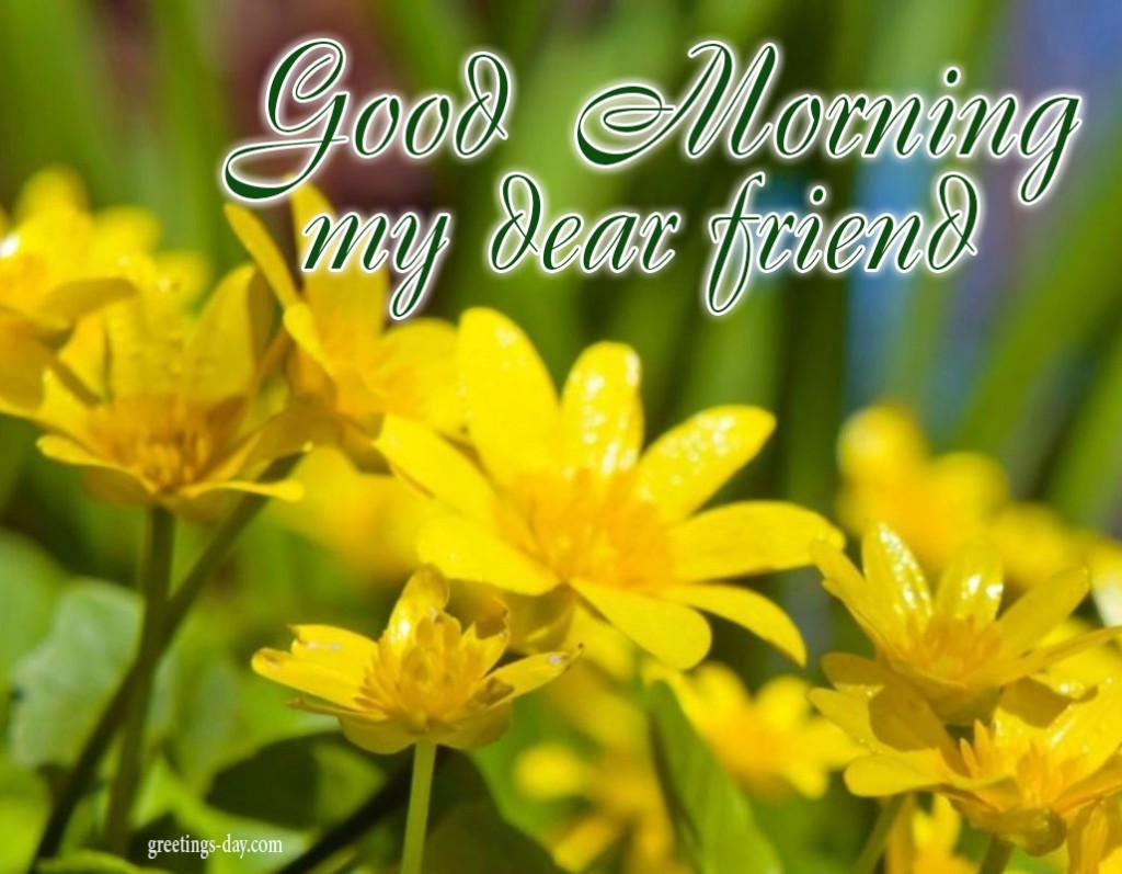 Good morning, my dear friend! Yellow flowers. The best greeting ...