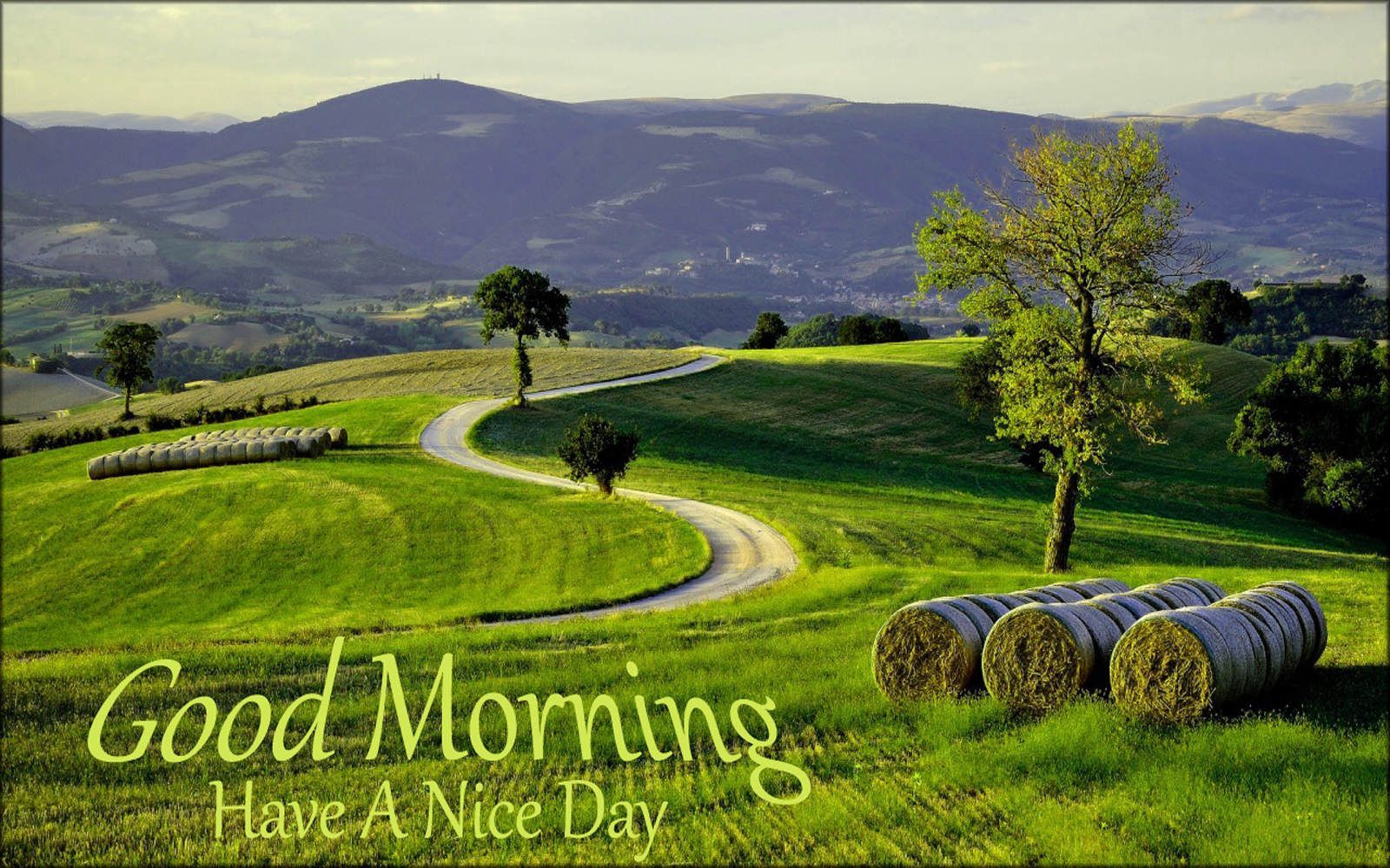 A Nice Day Starts With A Good Morning New Ecard The Best