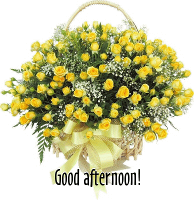 Have a wonderful Afternoon! The biggest bouquet of yellow roses. Free Download 2024 greeting card